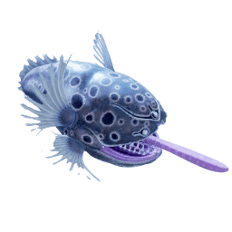 Big-Belly Fish