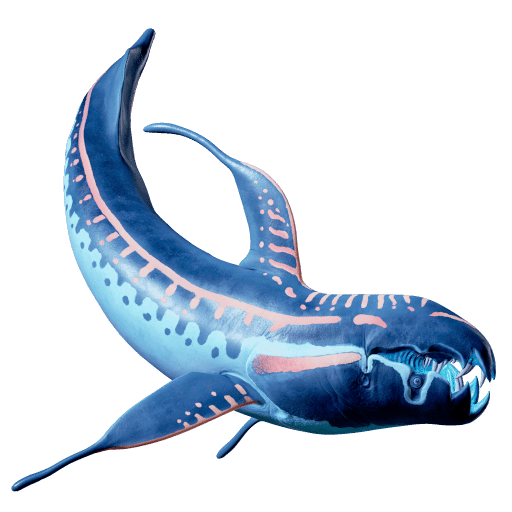 Bone Cracker Shark