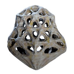Cage Sea Willow