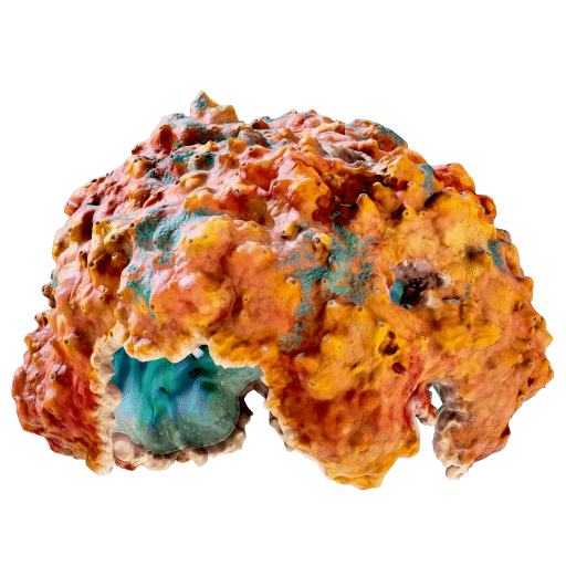 Coral Ball