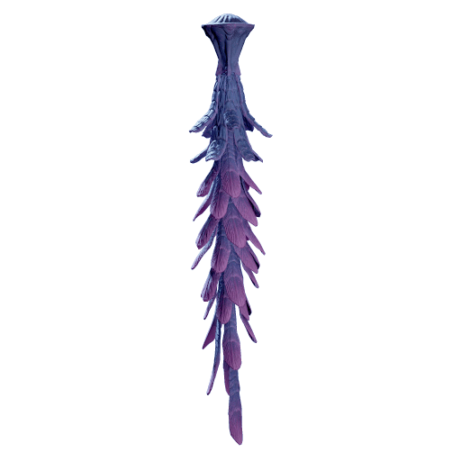 Garland Jellyfish