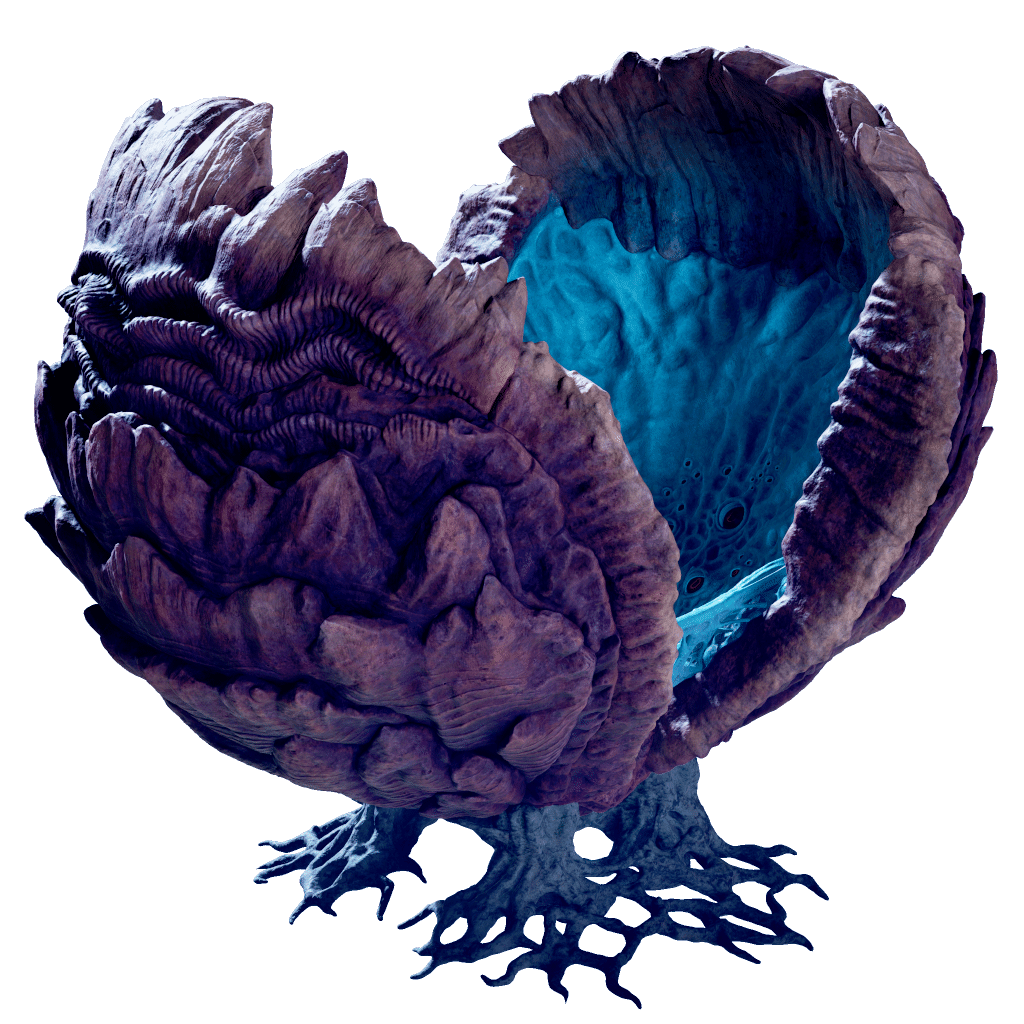 Giant Jaw Shell