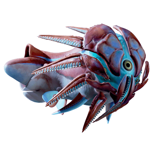 Hammerhead Fish