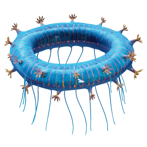 Jelly Ring