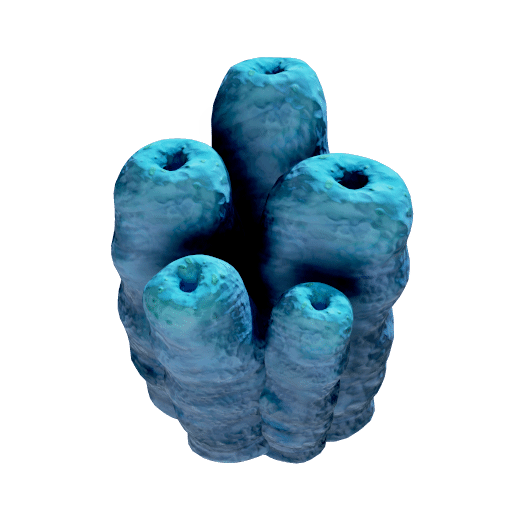 Poison Pipe Cluster