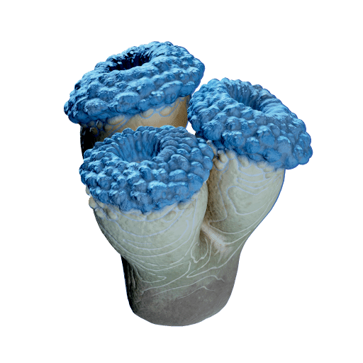 Pseudo Fission Drum