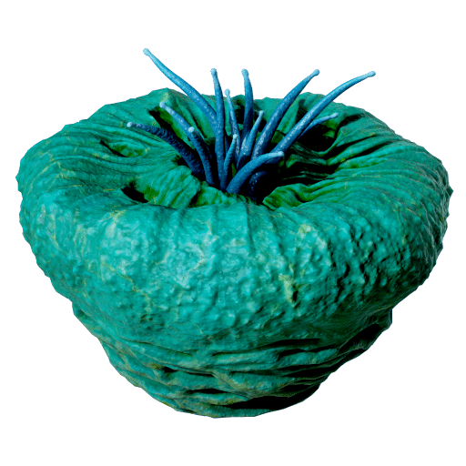 Worm Donut