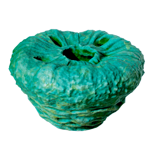 Wormless Donut