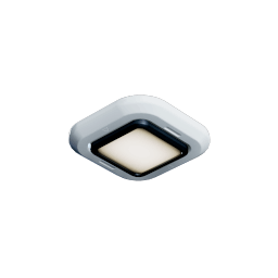 Ceiling Light
